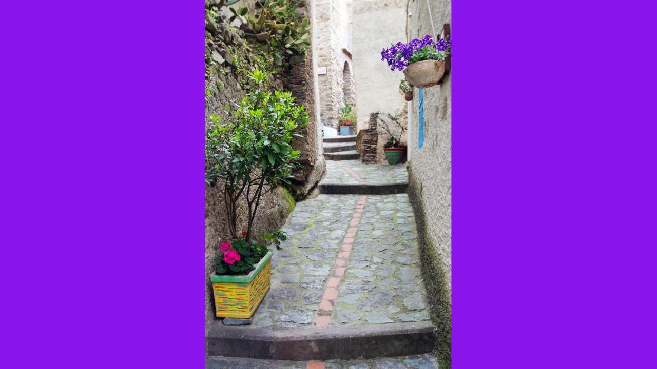 Albergo Diffuso Ecobelmonte Belmonte Calabro Exterior foto